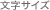文字サイズ