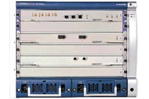 ASG-GW（Access Service Network-Gateway）